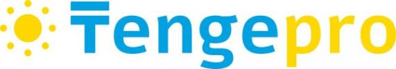 МФО Tengepro